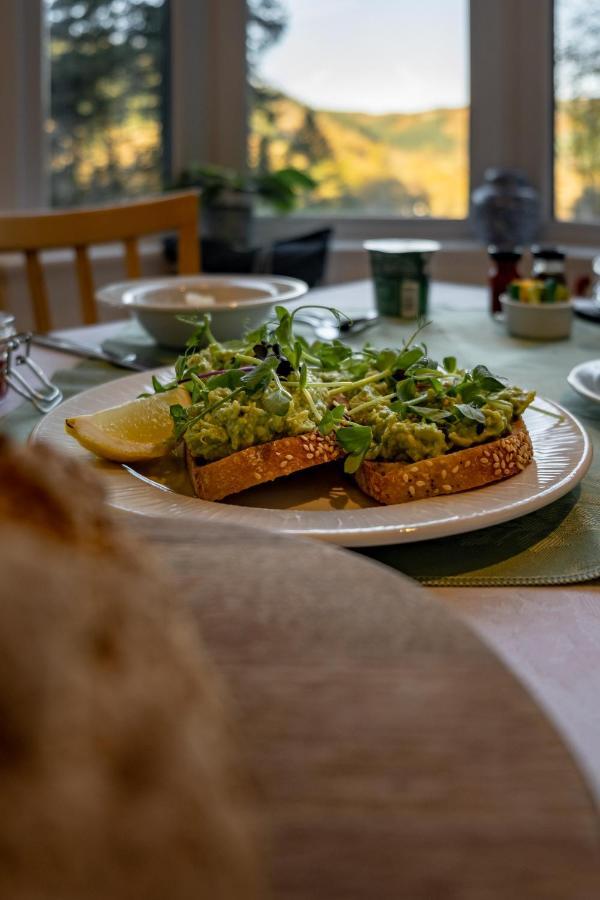 ベトウス・ア・コーエド Glyntwrog House Bed & Breakfast エクステリア 写真