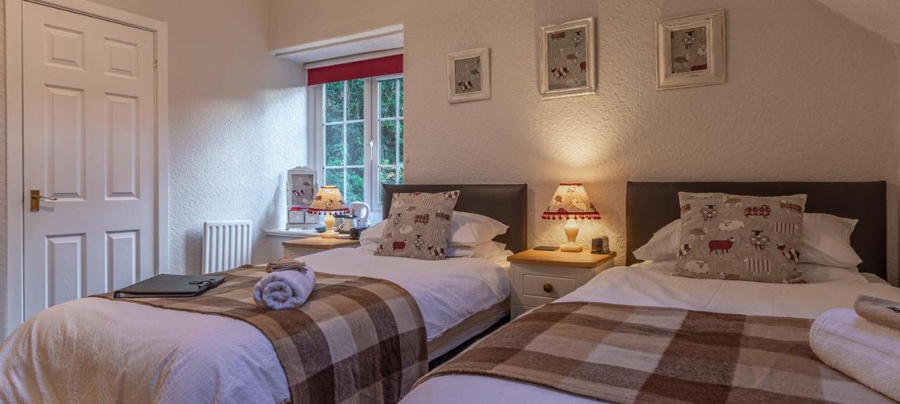 ベトウス・ア・コーエド Glyntwrog House Bed & Breakfast エクステリア 写真