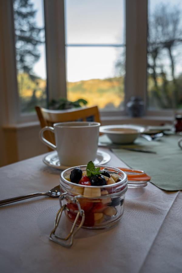 ベトウス・ア・コーエド Glyntwrog House Bed & Breakfast エクステリア 写真